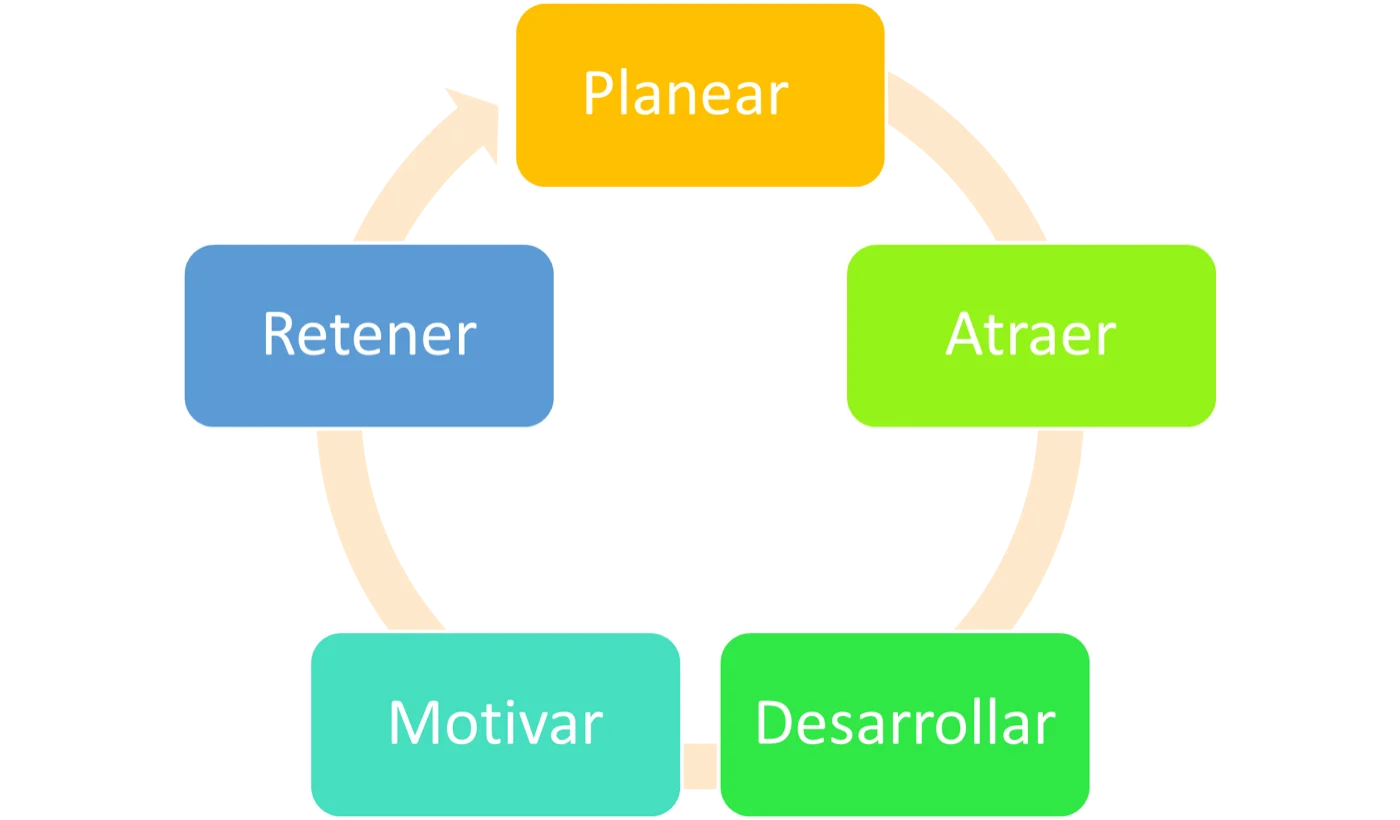 Ciclo de administración del capital humano: planear, atraer, desarrollar, motivar y retener